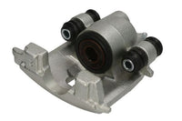 Jarrusatula - CZH1450