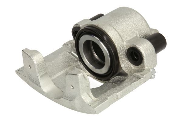 Jarrusatula - CZH1036