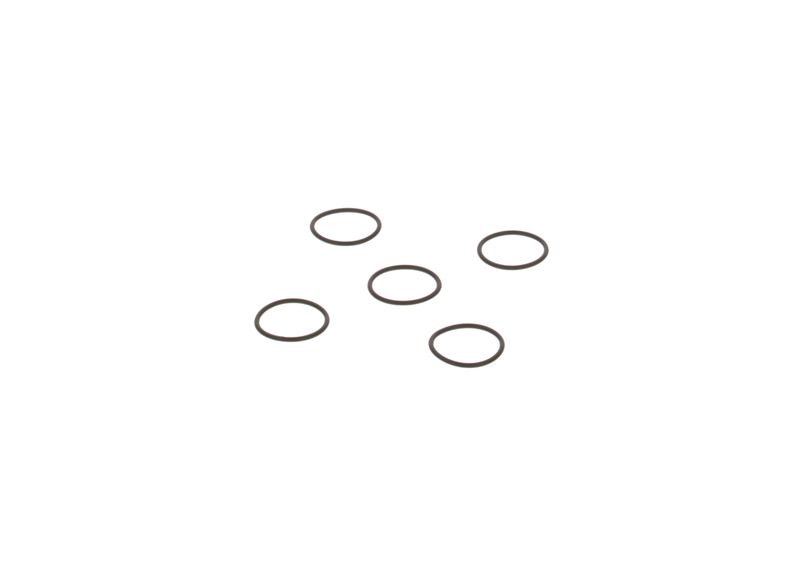 Degvielas sūkņa elements - 2.440.210.026