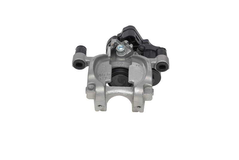 Jarrusatula - 24.6238-7047.5