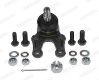Pallonivel - TO-BJ-10032