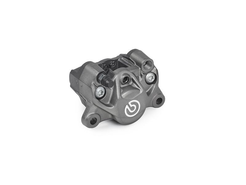 Jarrusatula - 920B85292