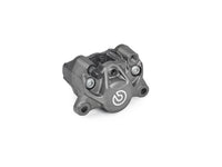 Jarrusatula - 920B85292