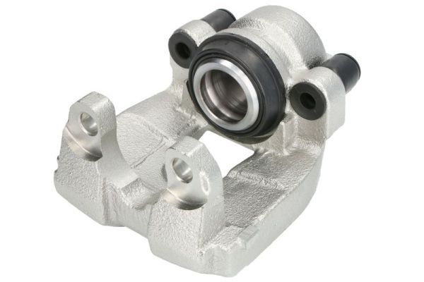 Jarrusatula - CZH2156