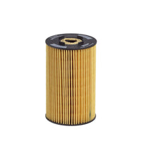 Eļļas filtrs - E134H D31