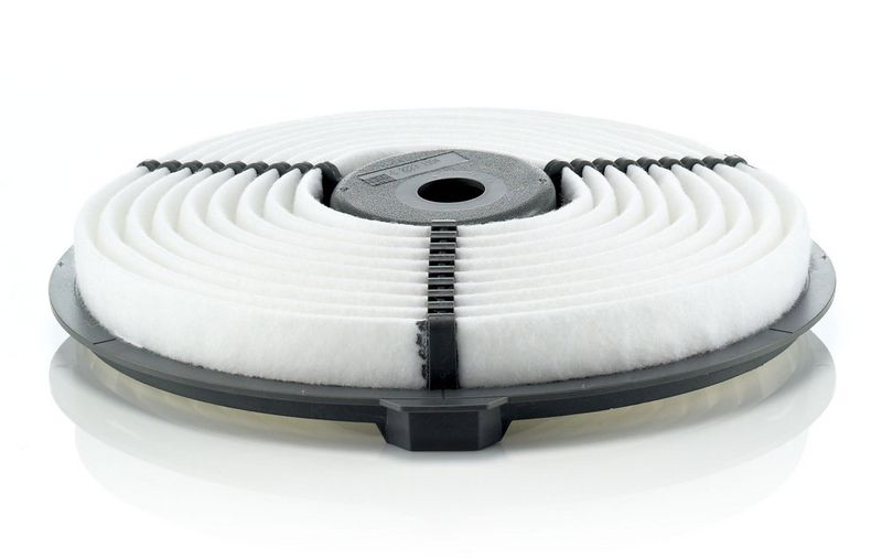 Gaisa filtrs - C 2223