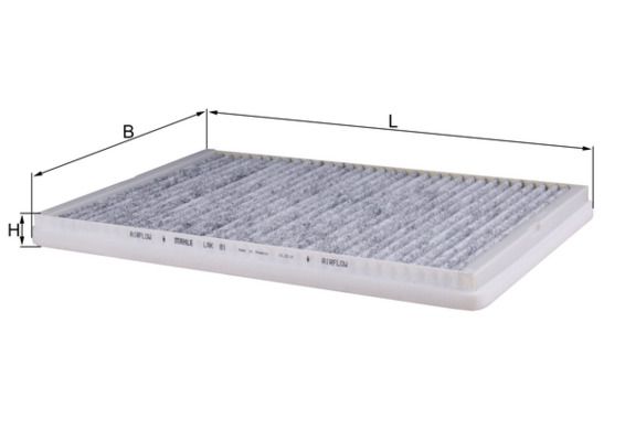 Salona filtrs - LAK 81