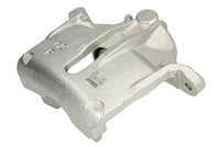 Jarrusatula - CZH1048