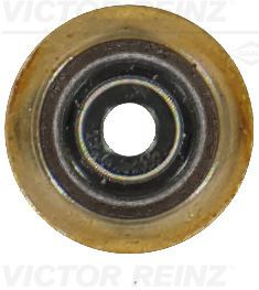 Vārsta blīvslēgs - 70-19255-00