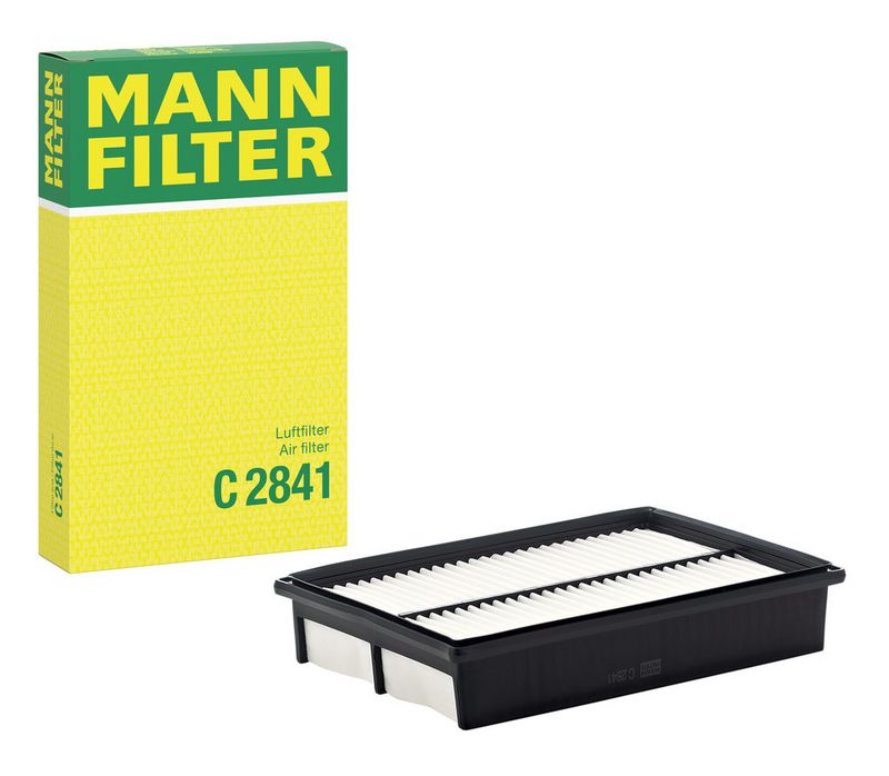 Ilmansuodatin - C 2841