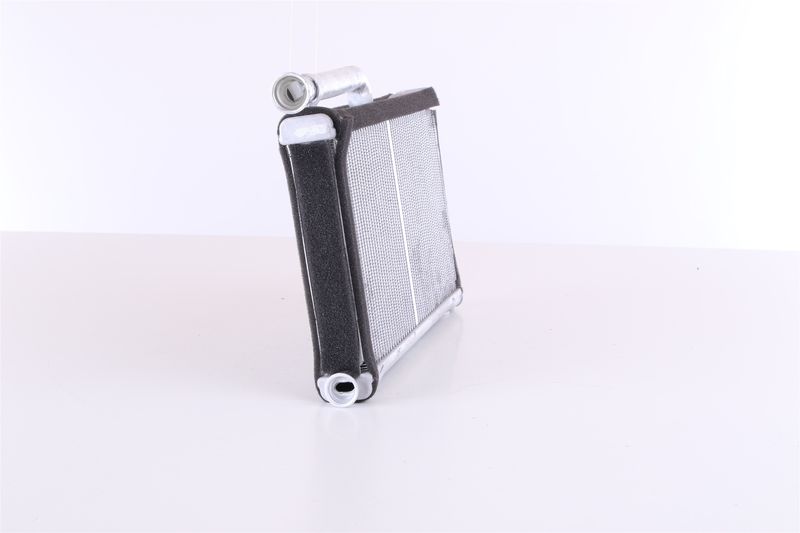 Siltummainis, Salona apsilde - 70233