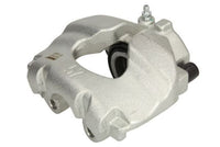 Jarrusatula - CZH1203