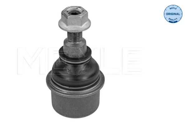 Pallonivel - 116 010 0035