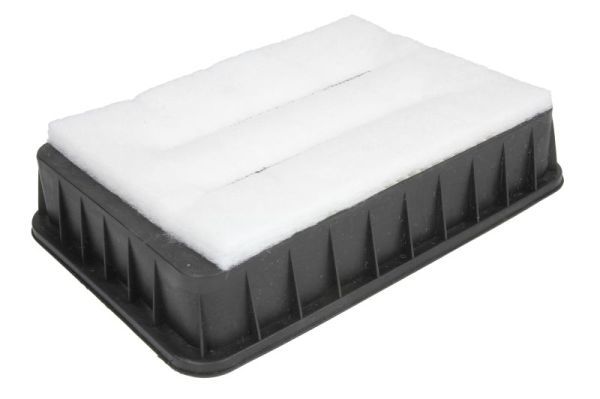 Gaisa filtrs - B2P043PR