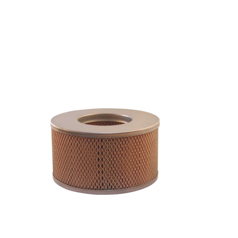 Gaisa filtrs - AM 352/2