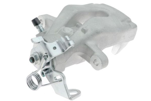 Jarrusatula - CZH1137