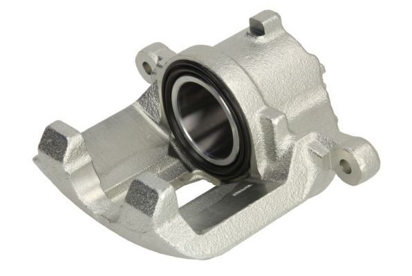 Jarrusatula - CZH1058