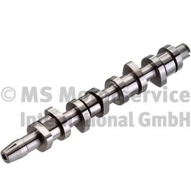 Sadales vārpsta - 50006343