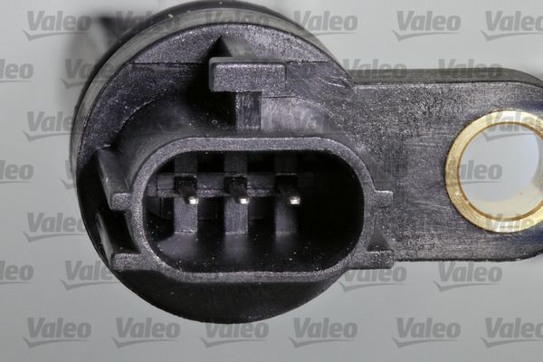 Sadales vārpstas pozīcijas devējs - 366451