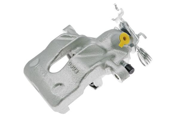 Jarrusatula - CZH1070