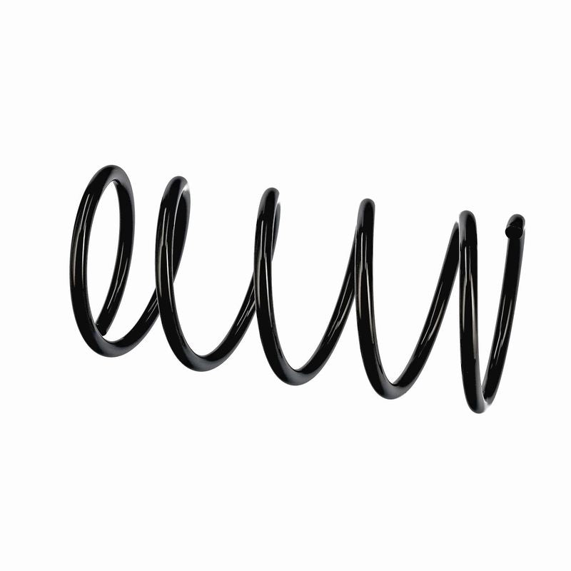 Jousi (auton jousitus) - R11000