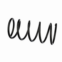Jousi (auton jousitus) - R11000