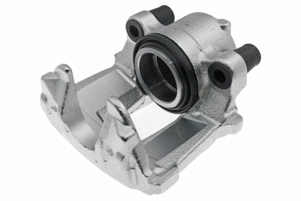 Jarrusatula - 77.0042