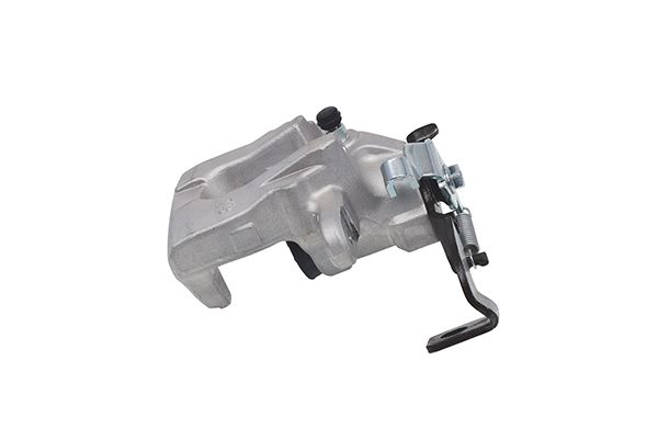 Jarrusatula - 24.3387-1743.5