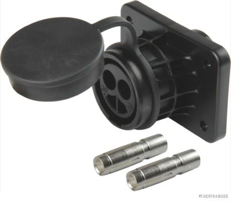 Pistorasia - 51305750