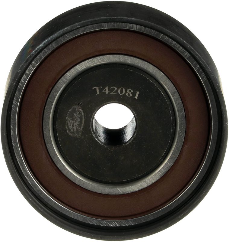 Parazīt-/Vadrullītis, Zobsiksna - T42081