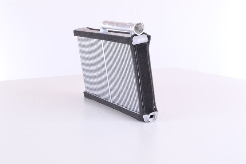 Siltummainis, Salona apsilde - 70233