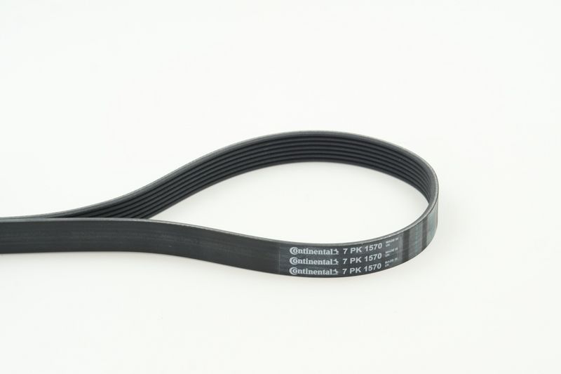 Celiņu siksna - 7PK1570