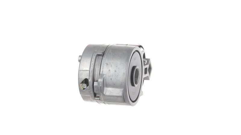 Hihnankiristin, moniurahihna - VKMCV 51031