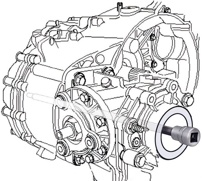 Muciņa - 2584LG-1A