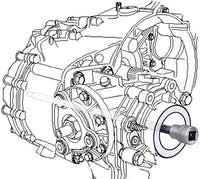 Muciņa - 2584LG-1A