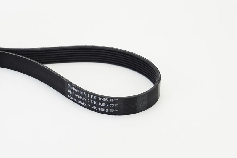Celiņu siksna - 7PK1605