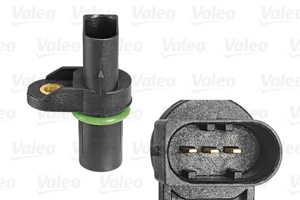Sadales vārpstas pozīcijas devējs - 253809