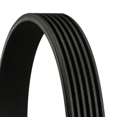 Celiņu siksna - 6PK2245