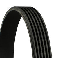 Celiņu siksna - 6PK906