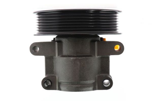 Hydrauliikkapumppu, ohjaus - 55.1243