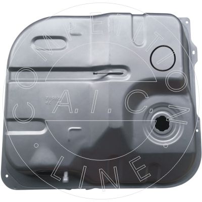 Siltummainis, Salona apsilde - 54249