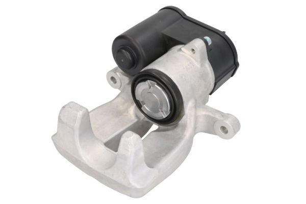 Jarrusatula - CZH1550
