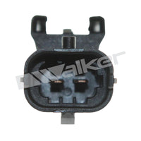 Motora dzesēsanas radiators - 10031011
