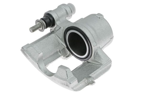 Jarrusatula - CZH1055
