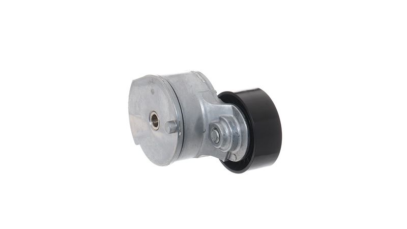 Daudzceliņu siksnas spriegotājrullītis - VKM 33205