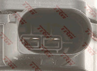 Jarrusatula - BHT328E