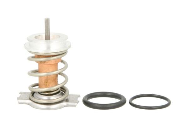 Termostata korpuss - D28001TT