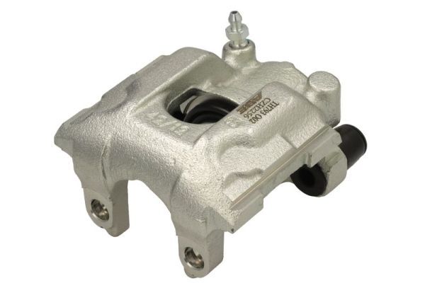 Jarrusatula - CZH2256