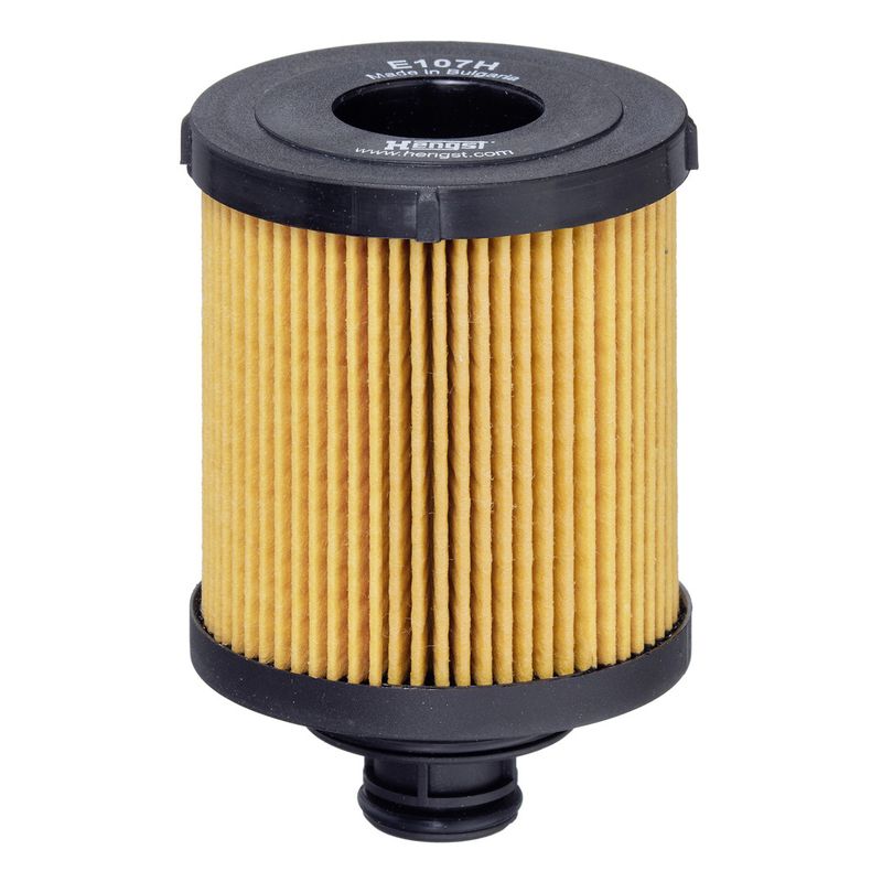 Eļļas filtrs - E107H D166