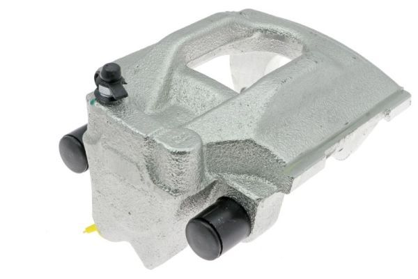 Jarrusatula - CZH1603
